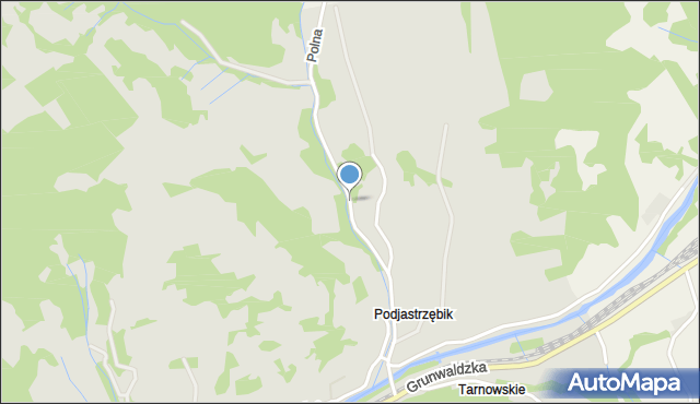 Muszyna, Polna, mapa Muszyna