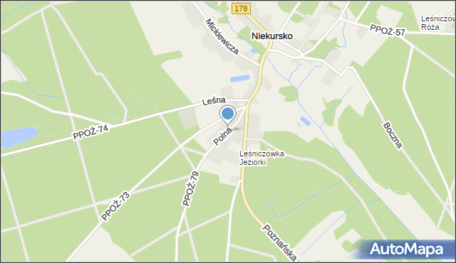 Niekursko, Polna, mapa Niekursko