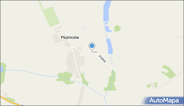 Płużniczka, Polna, mapa Płużniczka