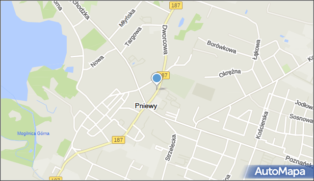 Pniewy powiat szamotulski, Pocztowa, mapa Pniewy powiat szamotulski