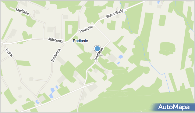 Podlasie gmina Radziejowice, Podlasie, mapa Podlasie gmina Radziejowice
