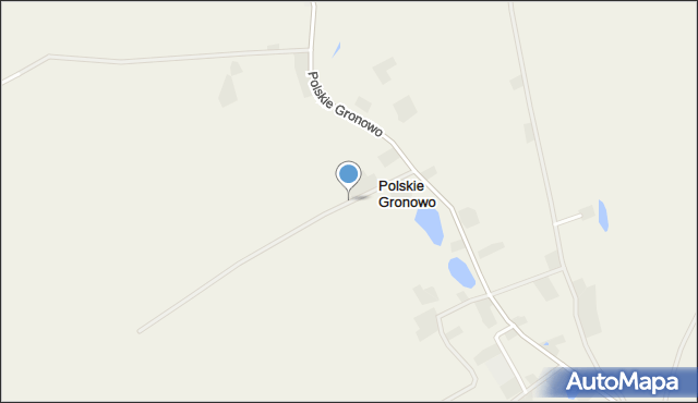 Polskie Gronowo, Polskie Gronowo, mapa Polskie Gronowo