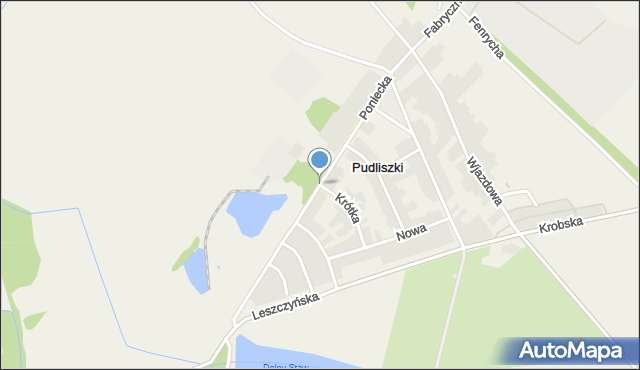 Pudliszki, Poniecka, mapa Pudliszki