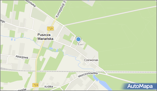 Puszcza Mariańska, Podleśna, mapa Puszcza Mariańska