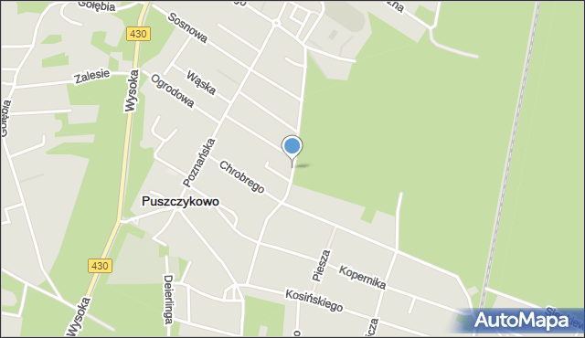 Puszczykowo powiat poznański, Powstańców Wielkopolskich, mapa Puszczykowo powiat poznański