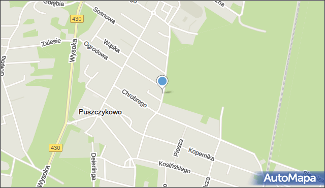 Puszczykowo powiat poznański, Powstańców Wielkopolskich, mapa Puszczykowo powiat poznański