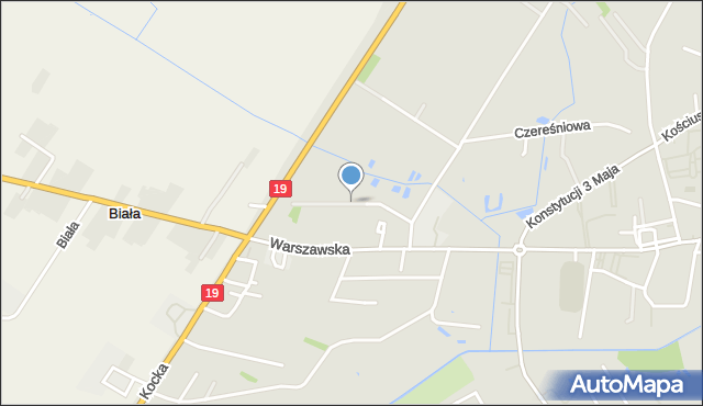 Radzyń Podlaski, Poziomkowa, mapa Radzyń Podlaski