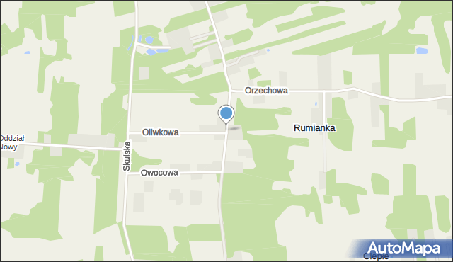 Rumianka, Polnych Kwiatów, mapa Rumianka