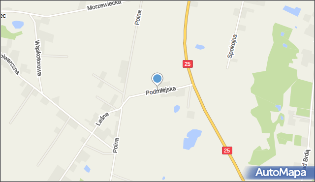 Tryszczyn, Podmiejska, mapa Tryszczyn