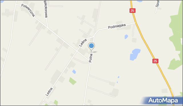 Tryszczyn, Polna, mapa Tryszczyn