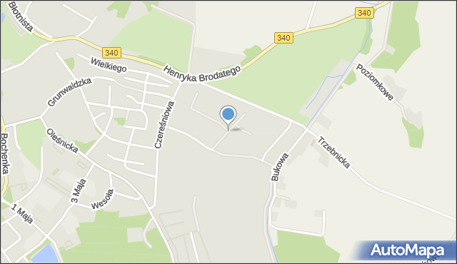 Trzebnica, Poziomkowa, mapa Trzebnica