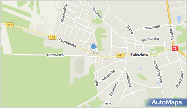 Tuliszków, Poznańska, mapa Tuliszków