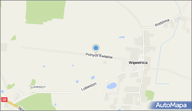 Wąwelnica, Polnych Kwiatów, mapa Wąwelnica