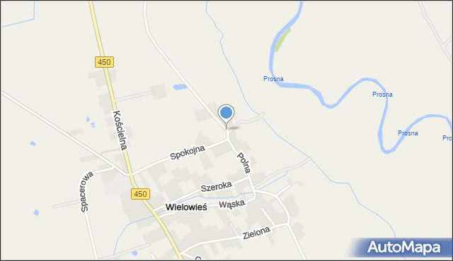 Wielowieś gmina Sieroszewice, Polna, mapa Wielowieś gmina Sieroszewice