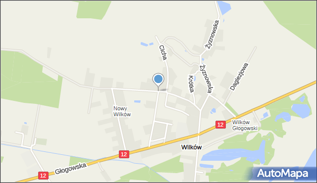 Wilków gmina Głogów, Polna, mapa Wilków gmina Głogów