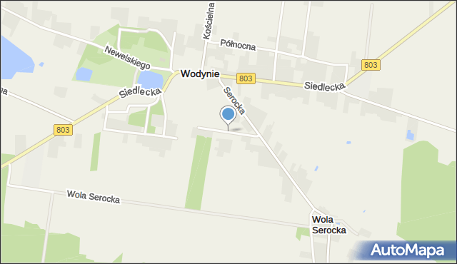 Wodynie, Południowa, mapa Wodynie