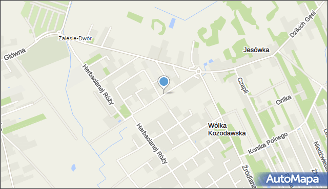 Wólka Kozodawska, Polnych Kwiatów, mapa Wólka Kozodawska