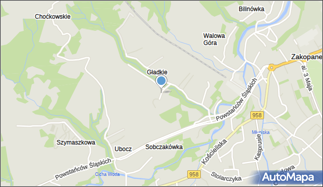 Zakopane, Polna, mapa Zakopanego