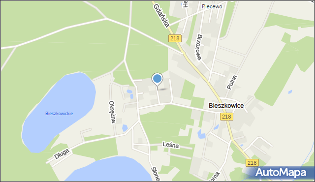 Bieszkowice, Promienna, mapa Bieszkowice