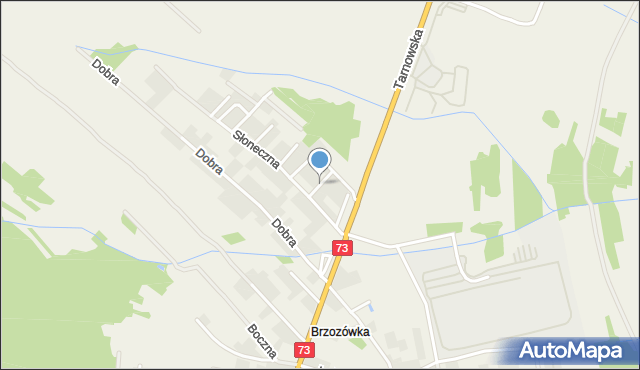 Brzozówka gmina Lisia Góra, Promienna, mapa Brzozówka gmina Lisia Góra