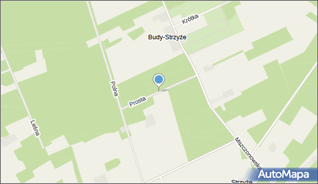 Budy-Strzyże, Prosta, mapa Budy-Strzyże