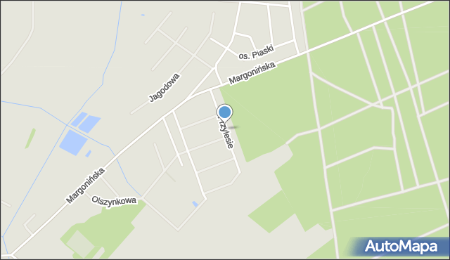 Budzyń powiat chodzieski, Przylesie, mapa Budzyń powiat chodzieski
