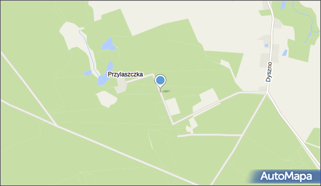 Dyszno, Przylaszczka, mapa Dyszno