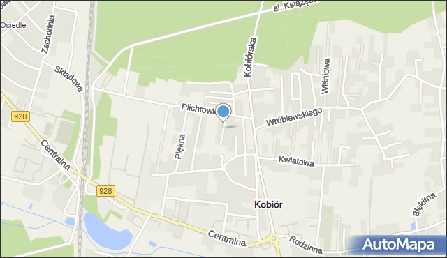 Kobiór, Prosta, mapa Kobiór