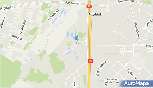 Konin, Przydziałki, mapa Konina