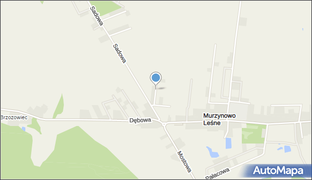 Murzynowo Leśne, Promienista, mapa Murzynowo Leśne