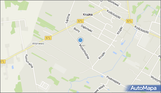 Nasielsk, Przechodnia, mapa Nasielsk