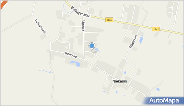 Niekanin, Promykowa, mapa Niekanin