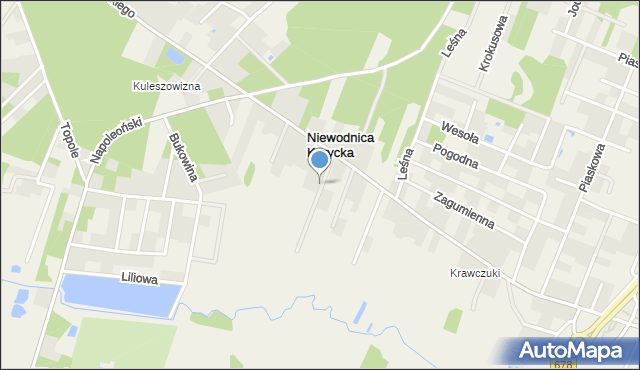 Niewodnica Korycka, Promienna, mapa Niewodnica Korycka