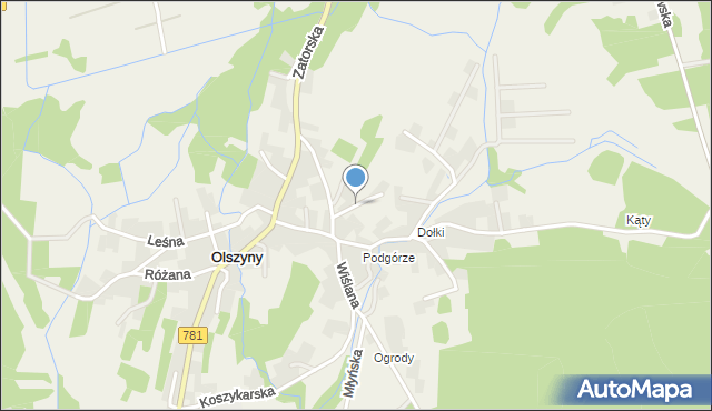Olszyny gmina Babice, Przedszkolna, mapa Olszyny gmina Babice