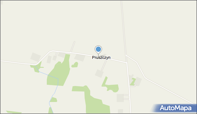 Pruszczyn, Pruszczyn, mapa Pruszczyn