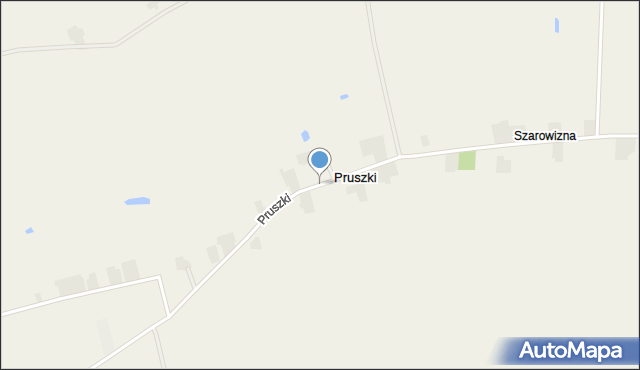 Pruszki gmina Łęczyca, Pruszki, mapa Pruszki gmina Łęczyca