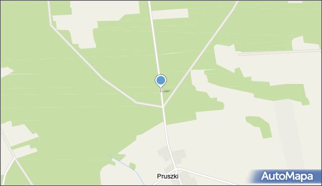 Pruszki gmina Rzewnie, Pruszki, mapa Pruszki gmina Rzewnie