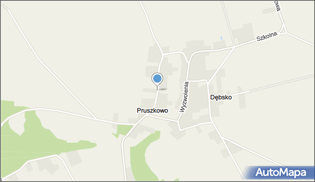 Pruszkowo gmina Wielichowo, Pruszkowo, mapa Pruszkowo gmina Wielichowo
