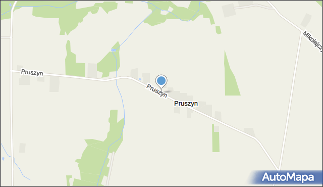 Pruszyn gmina Płońsk, Pruszyn, mapa Pruszyn gmina Płońsk