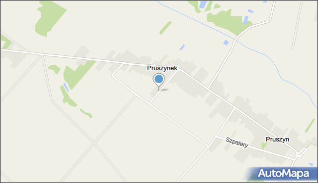 Pruszynek, Pruszynek, mapa Pruszynek