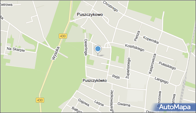 Puszczykowo powiat poznański, Przyszkolna, mapa Puszczykowo powiat poznański