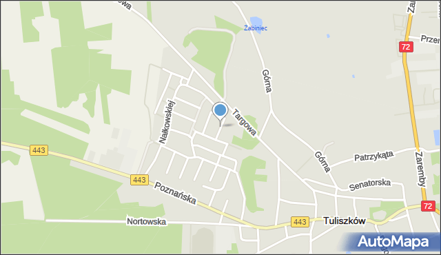 Tuliszków, Prusa Bolesława, mapa Tuliszków