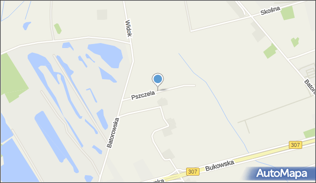 Dąbrowa gmina Dopiewo, Pszczela, mapa Dąbrowa gmina Dopiewo