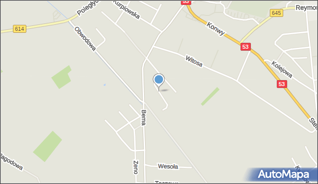 Myszyniec, Pszczela, mapa Myszyniec