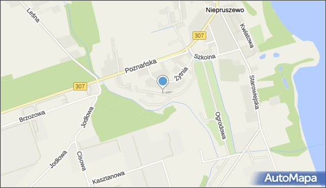 Niepruszewo, Pszeniczna, mapa Niepruszewo