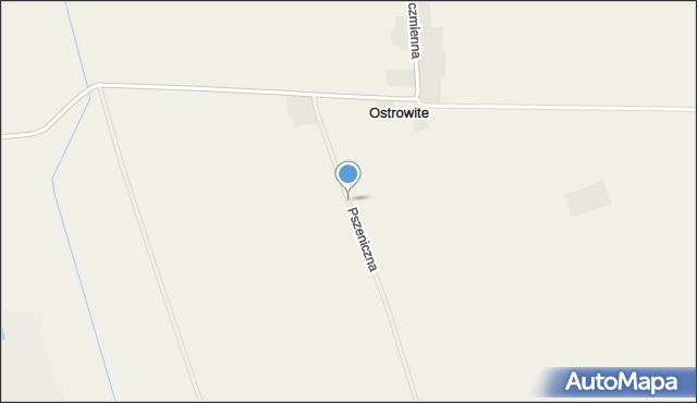 Ostrowite gmina Suchy Dąb, Pszeniczna, mapa Ostrowite gmina Suchy Dąb