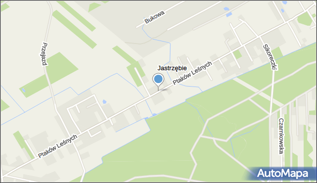Jastrzębie gmina Piaseczno, Ptaków Leśnych, mapa Jastrzębie gmina Piaseczno