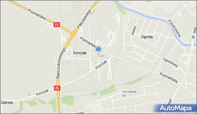 Kalisz, Ptasia, mapa Kalisza