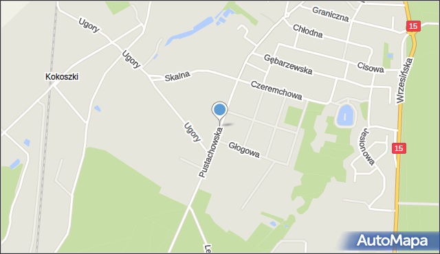 Gniezno, Pustachowska, mapa Gniezna