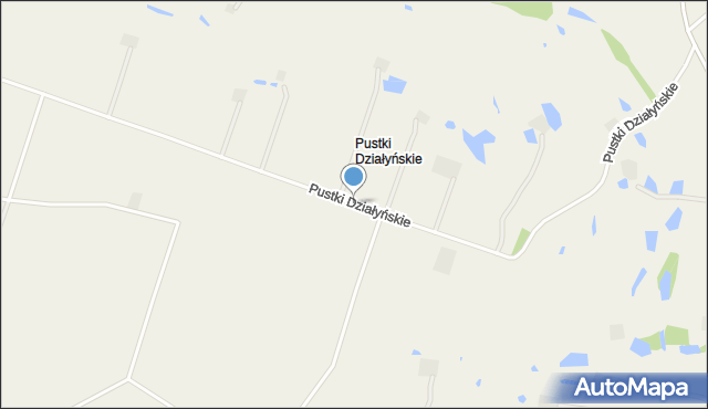 Pustki Działyńskie, Pustki Działyńskie, mapa Pustki Działyńskie